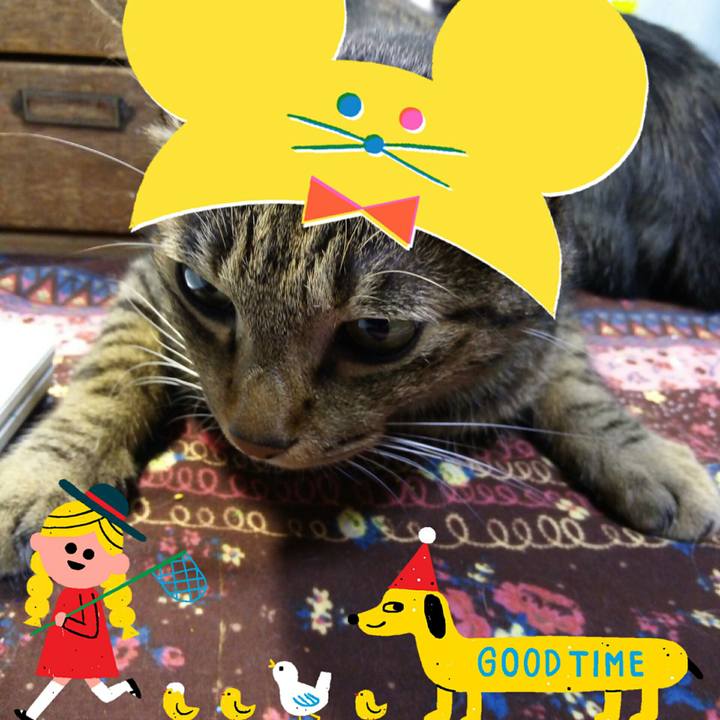 Ca87cbb0 9048 4a3c 99cc 8f780e858d34