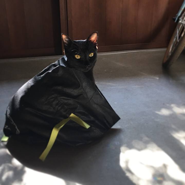 Ca88a770 b6e2 4d88 9a28 bc1c1ee55fdc