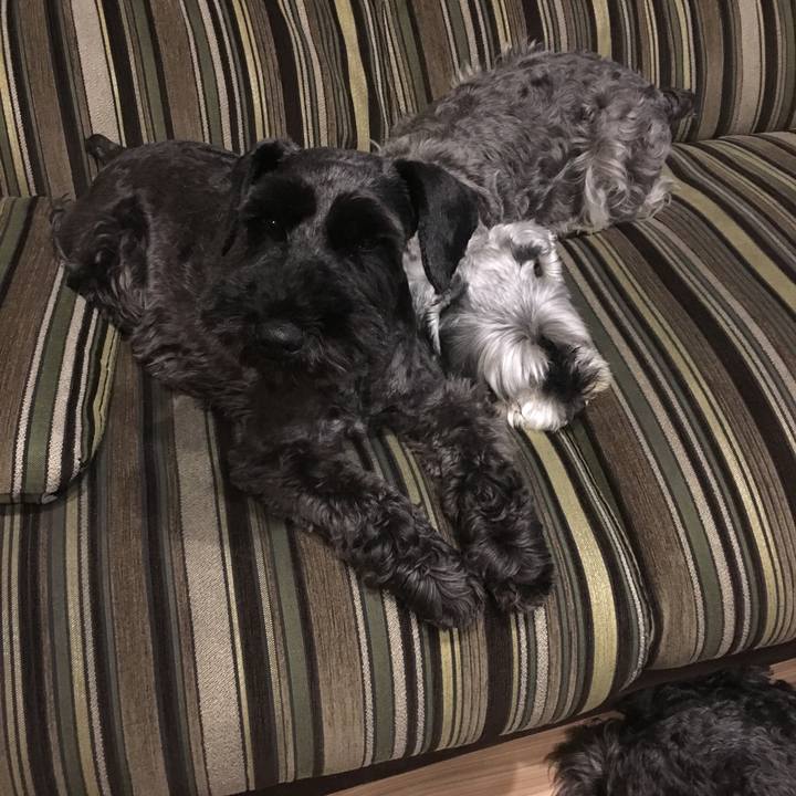 Ca8979f3 c875 4917 8b97 157c3457bd0a