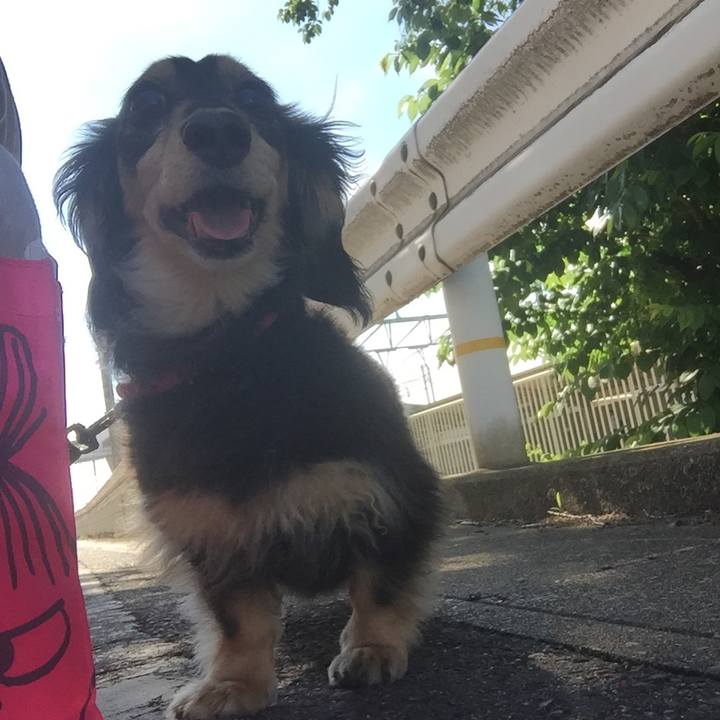 Ca89b972 ef07 49b5 9431 040e19a66877