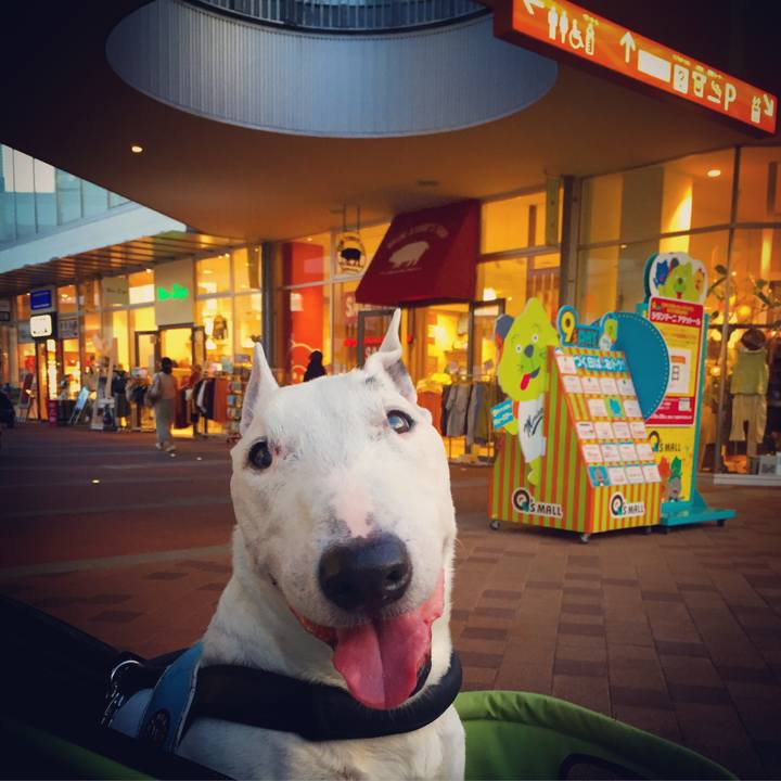 Ca89e617 d34f 4804 a882 ba453228ec2c