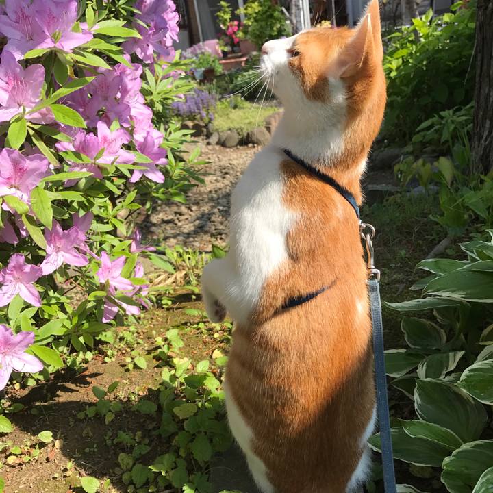 Ca89e885 5491 48bc 8d3c 8a73b2b1373c