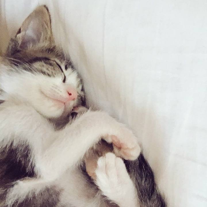 Ca8a93e4 fcdc 4df4 965a fa726eca2255