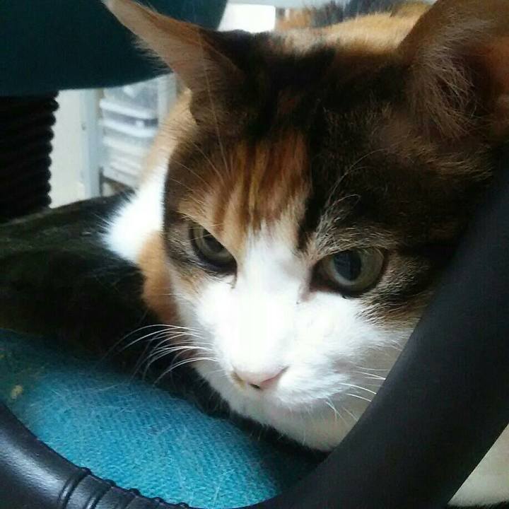 Ca8b4c12 68e3 48b5 9251 e9552e4635d5