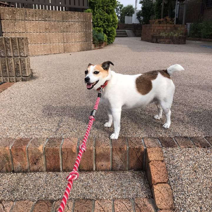 Ca8d59a9 e4d4 4f03 9ddb 4ea51a59ea79