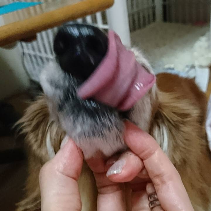 Ca8e0f47 b244 4c3f b1a0 87a61f2db383