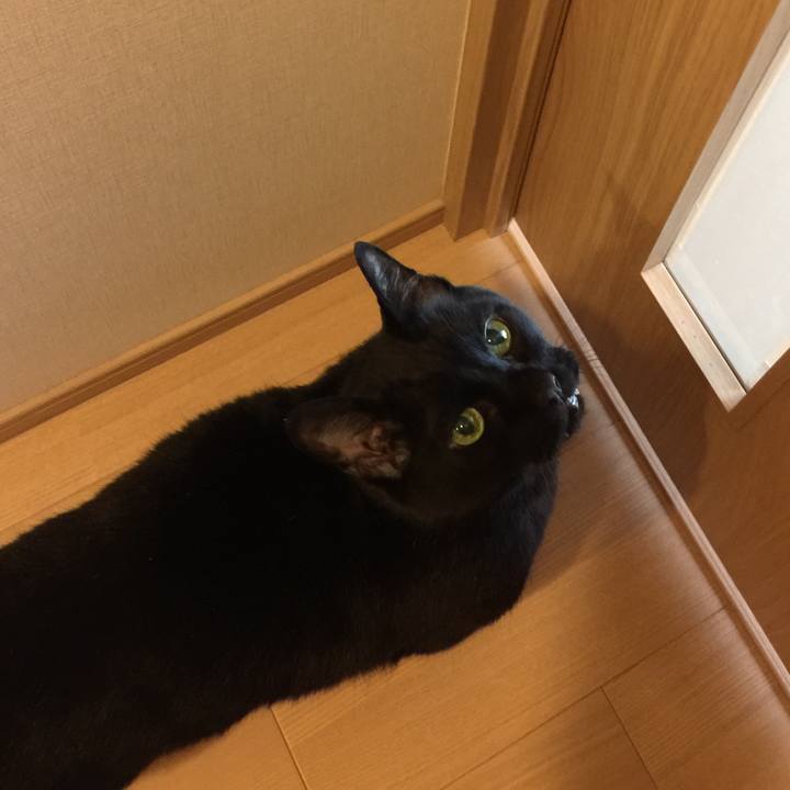 Ca8e3b6e 5194 4ca5 b703 6d807861a7bd