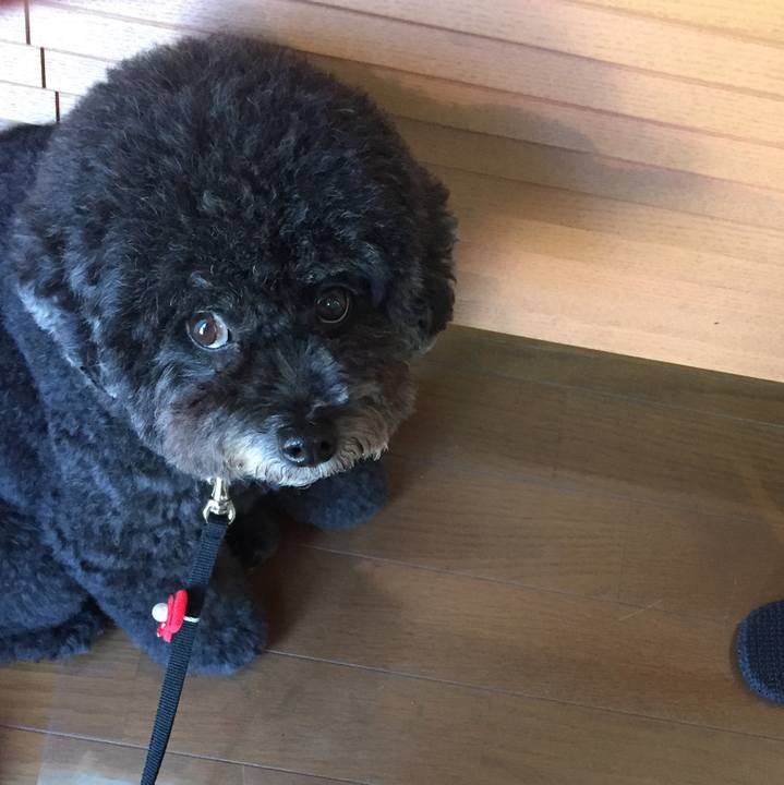 Ca8e7efd f28b 429f 8284 7b93f4f7a0fb