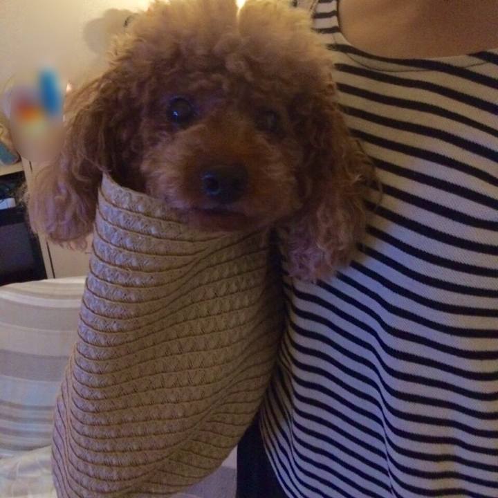 Ca8f138c ccad 42dc 80bd b6c0bc10ab49