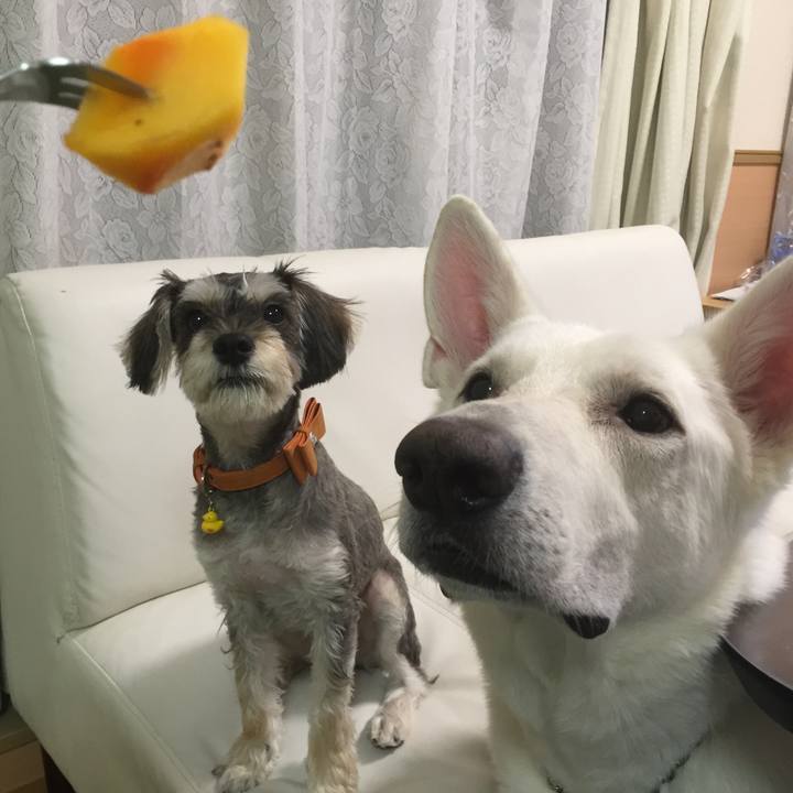 Ca8f2e16 e39c 4c98 ac6d 6b9a4d6acc8e