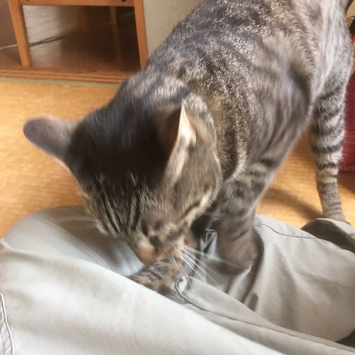 Ca8f717a 7b53 4db8 b99b 14ed9b481c80