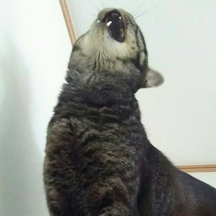 Ca8fa8f9 4216 4177 9cf3 d3f16661cd1c