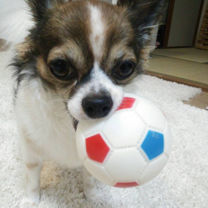 Ca8fafe4 b287 40b7 8e9d 95c82447a369