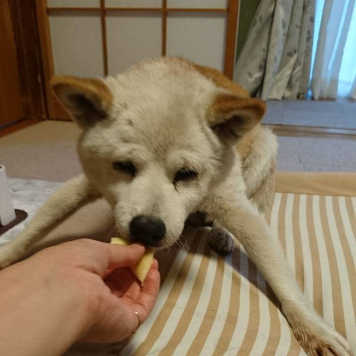 Ca8fc4de 77d1 49c7 8f50 ce8340d96dce