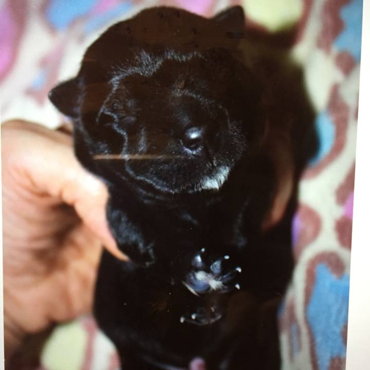 Ca902507 6765 48f0 b948 2a8b17ec128e