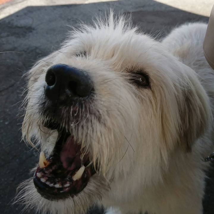 Ca904db7 fea2 4d17 964f 5864be1ec938