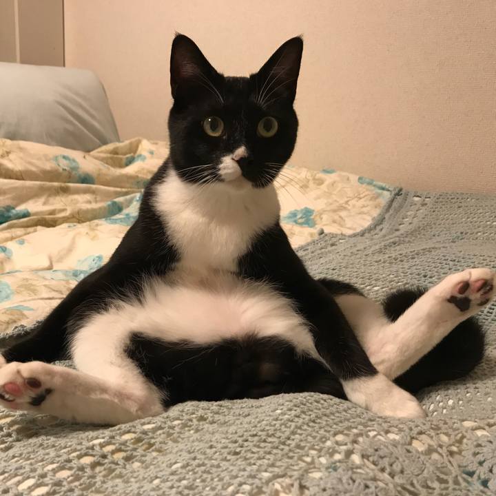 Ca909cc0 7172 4c0e 8fc7 c2afab183e0e