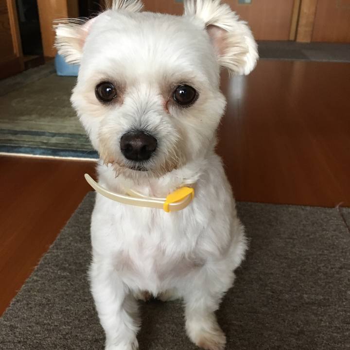 Ca90dfd1 b087 4d1b a204 f6d0f7fdab96