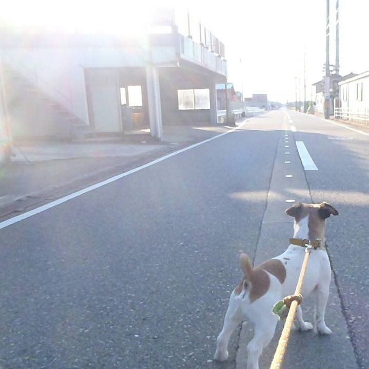 Ca91171c 0df4 4cd3 ad9e e02cd57ddc53