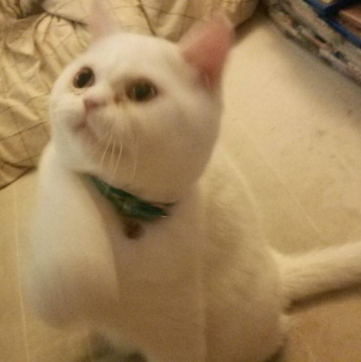 Ca91db56 7917 43d4 83d9 67ce6f485b71