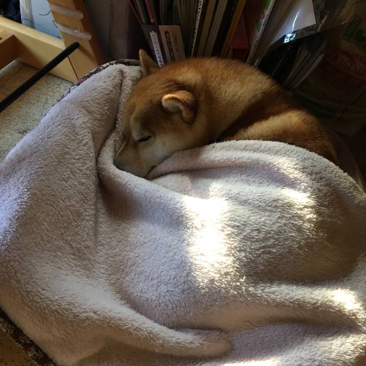 Ca91e98b 1b07 4cb7 b447 2dad04aa8c2c