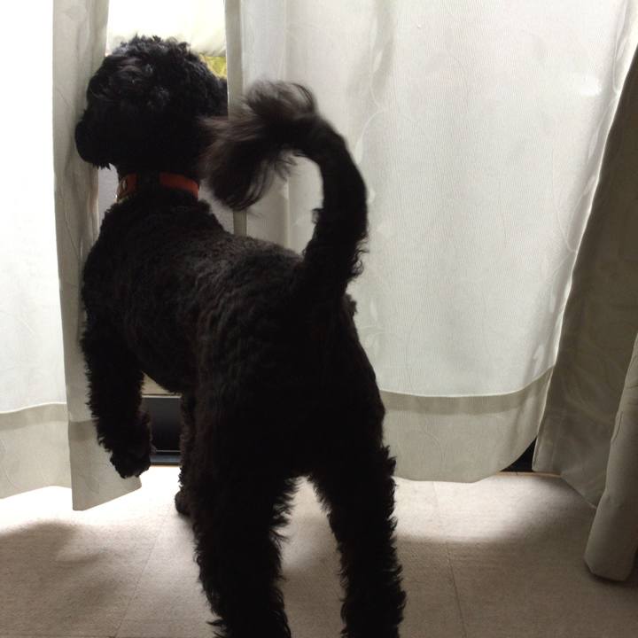 Ca91fcd5 0791 4ac9 896c df0927c1fae5