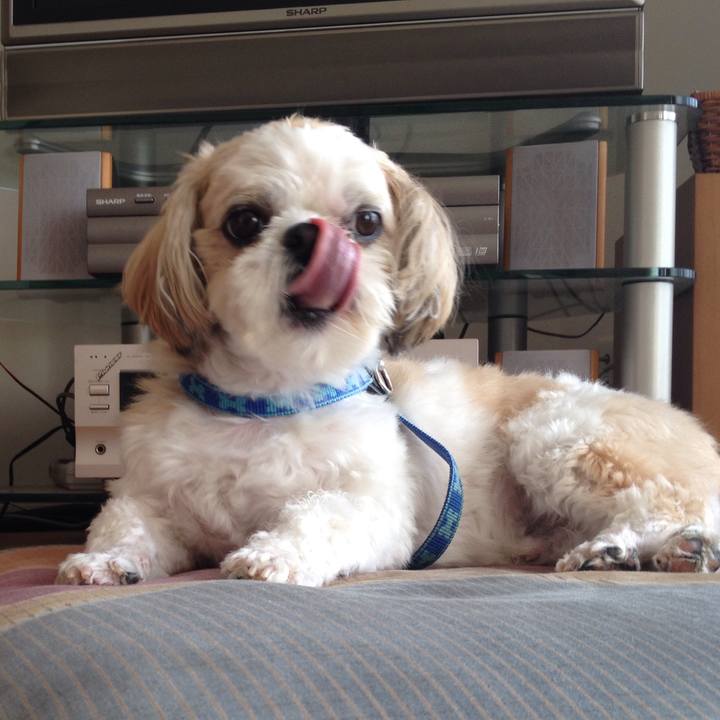 Ca91ff42 db8f 48c7 a566 b8e1367d0629