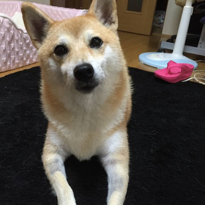 Ca921452 21a1 47e4 a8a4 002f4394f14b