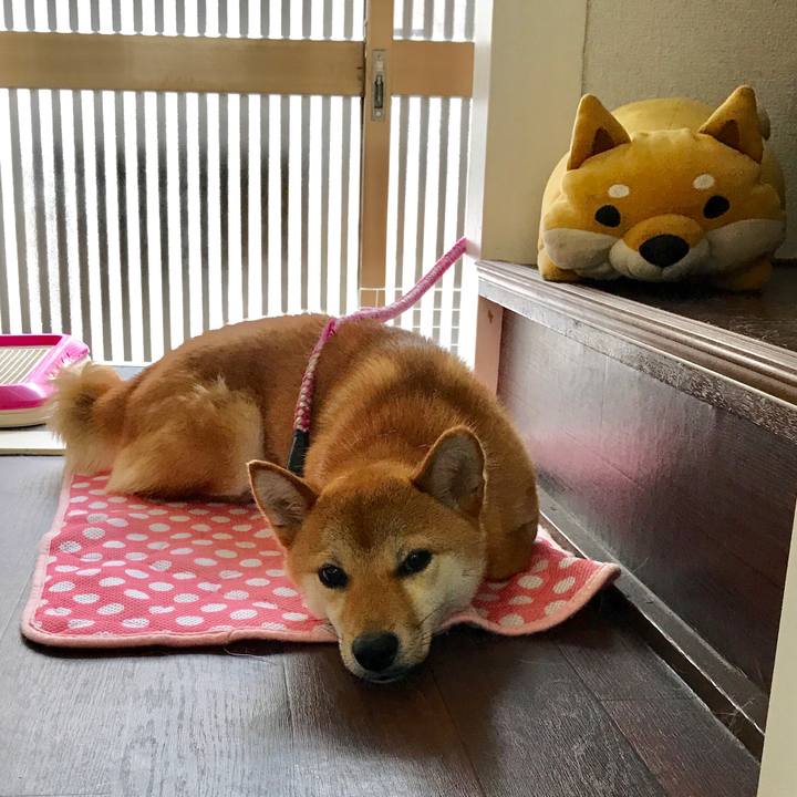 Ca9301d9 22a6 469d b3ac c65bc00fd350