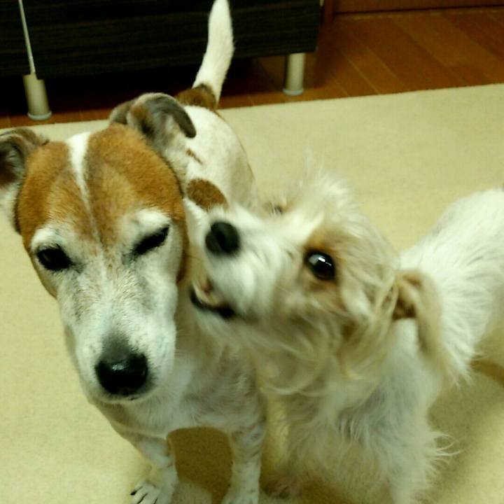 Ca930540 269c 447e a749 fa73af9a3ab9