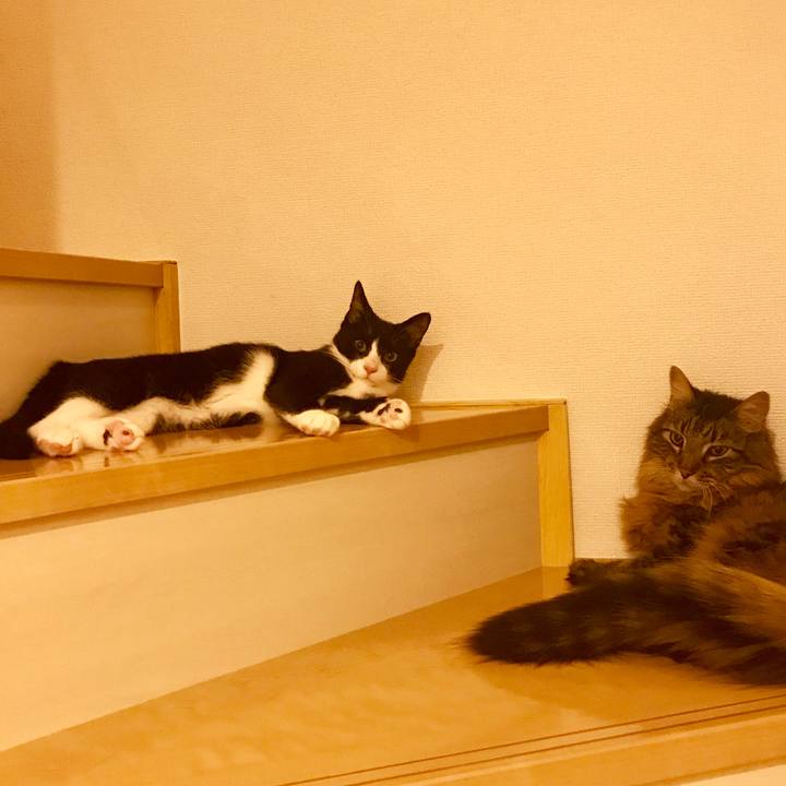 Ca945615 2678 4e00 8d3a eadc8cef4b7f