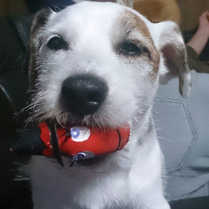 Ca94da6f 6ef4 462b 8a63 872f70ccfe50