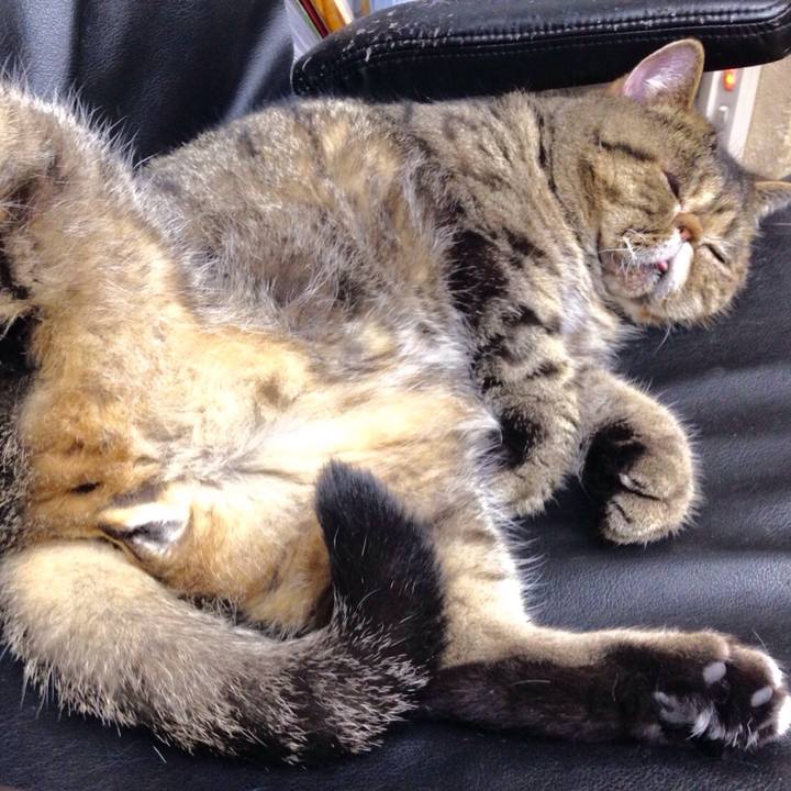 Ca94dae3 fc31 4530 b58a 095496131f3b