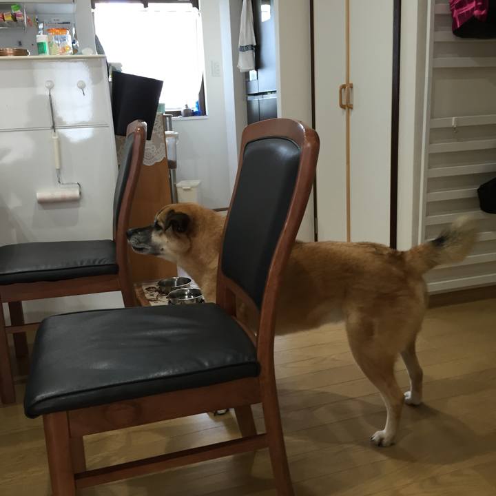 Ca955ce1 fd16 4cb5 92f1 760159676df6