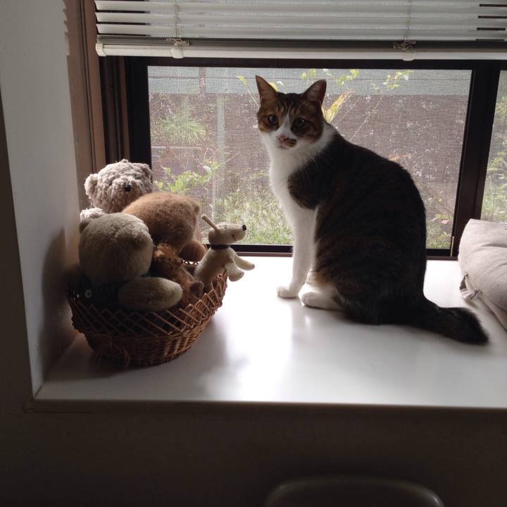 Ca96a9f8 a198 42cd bfec 5b67b257fbf4