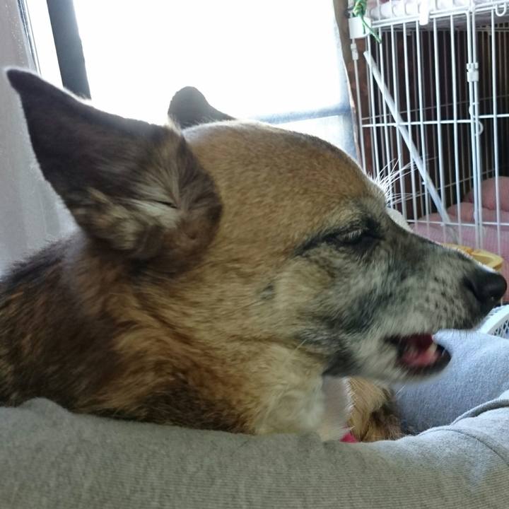 Ca96b48a 6e10 439b 8889 2409b0527b6f