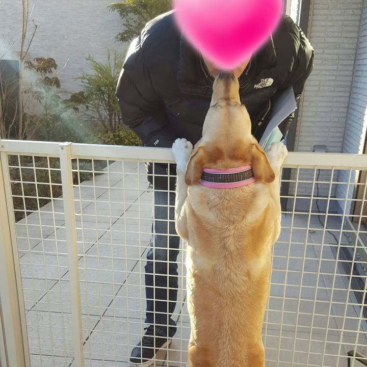 Ca96ca0f 36f9 4d08 9790 f8f7ee2ee82a