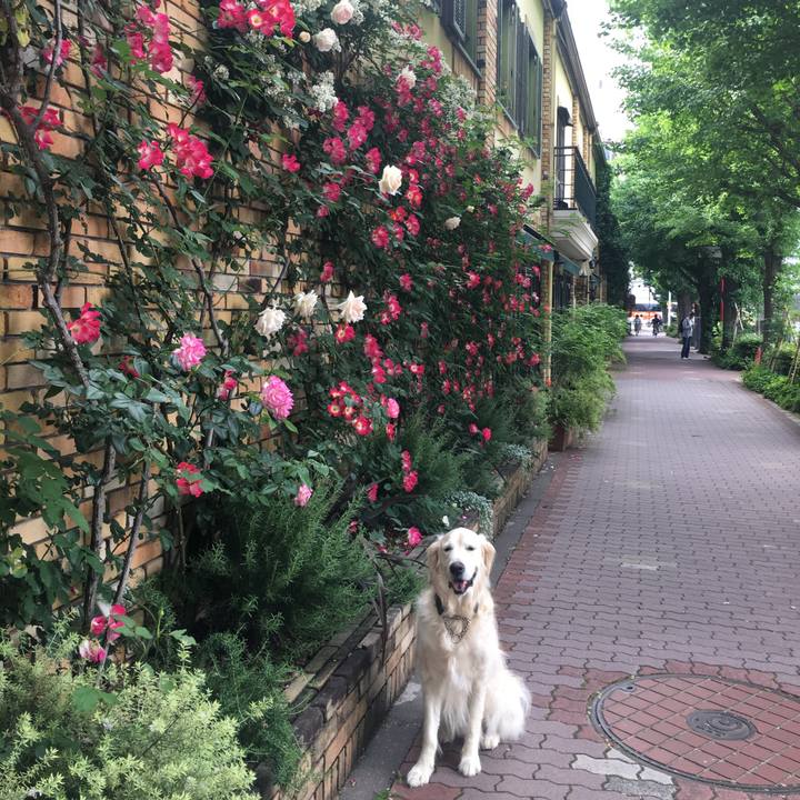 Ca972861 9eef 4a0a ba73 be9a33ded7df