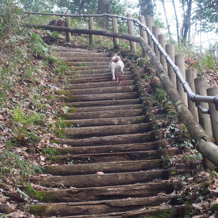 Ca97a86c 755e 4457 ab12 d0fc98e3d5c6