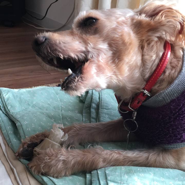 Ca97d6e2 ce02 4dcb 9a2c dfb55fcf1649