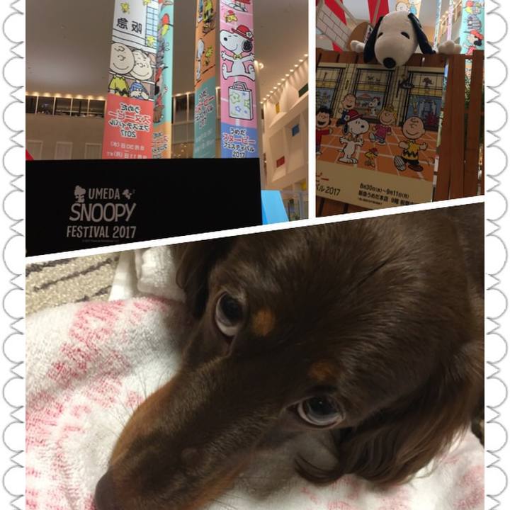 Ca980e1d afd0 4df5 829d 8ecc58881e7a