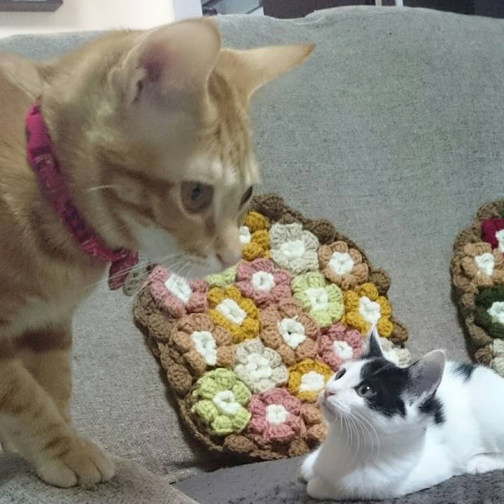 Ca990eb4 104f 450d 9856 0f2162a1e658