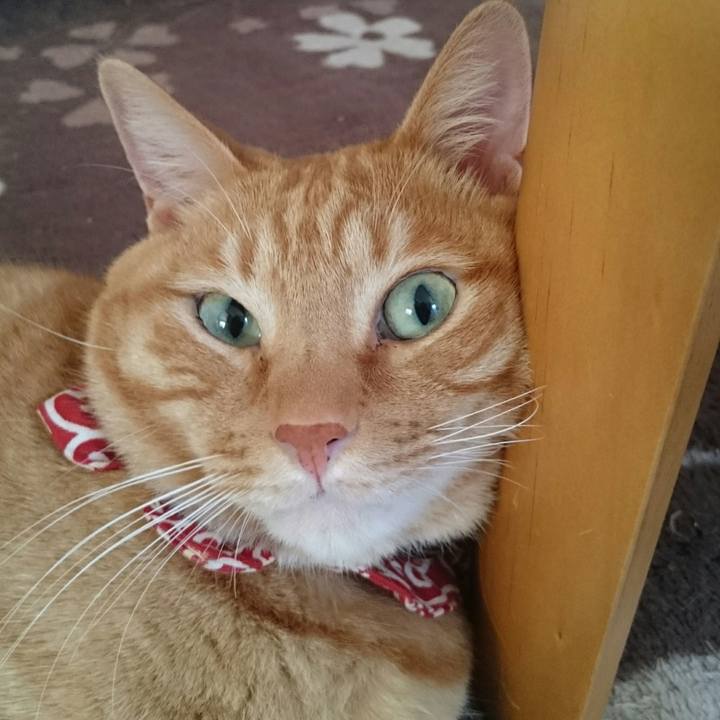 Ca99a838 c875 4945 b133 439e1f449798