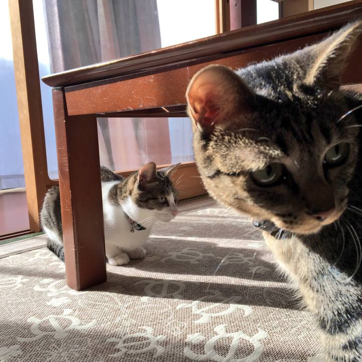 Ca99c349 f49a 4cab be88 2c9ec551468f