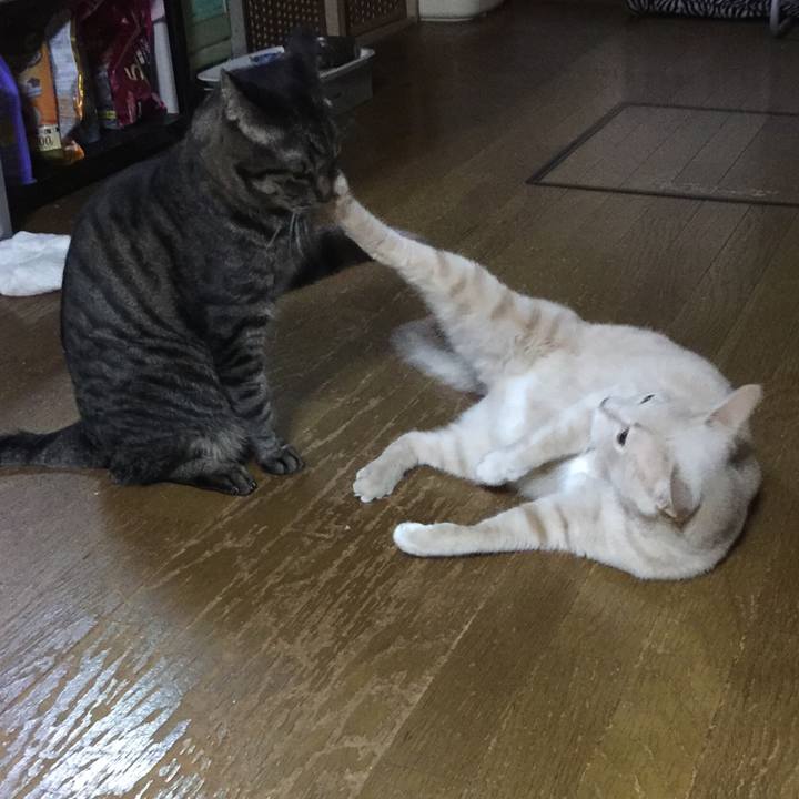 Ca9a645c 87be 48b8 bdb4 aad4f95a73cc