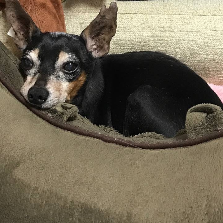 Ca9a7b56 67d7 401d b5c6 b35f93740421