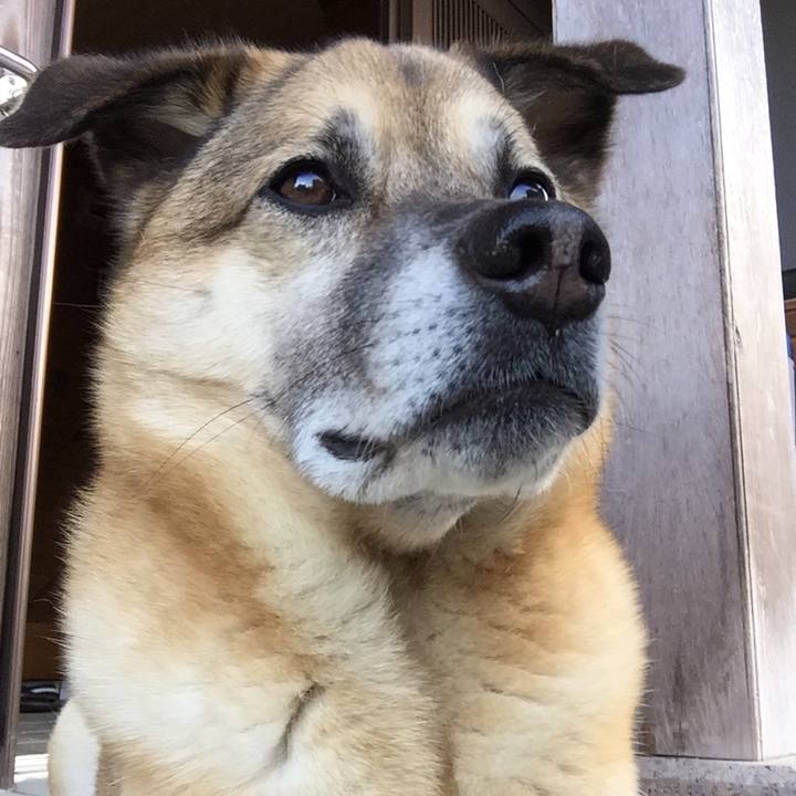 Ca9b2037 178c 4361 9cd1 e298935d5884