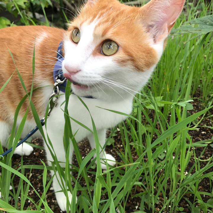 Ca9bb7dd d336 4365 bd6e 3b65fa5cb288