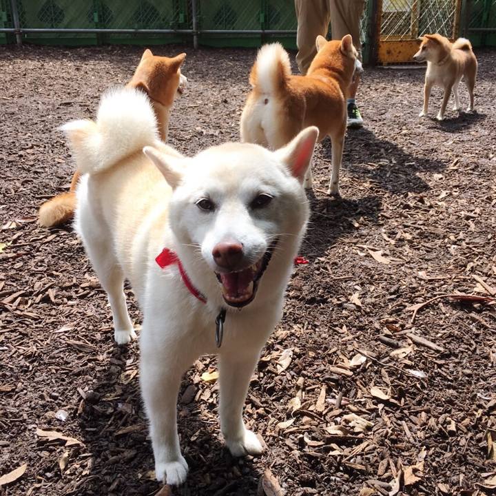 Ca9c5651 b1f5 42f9 9805 ee00c565907a