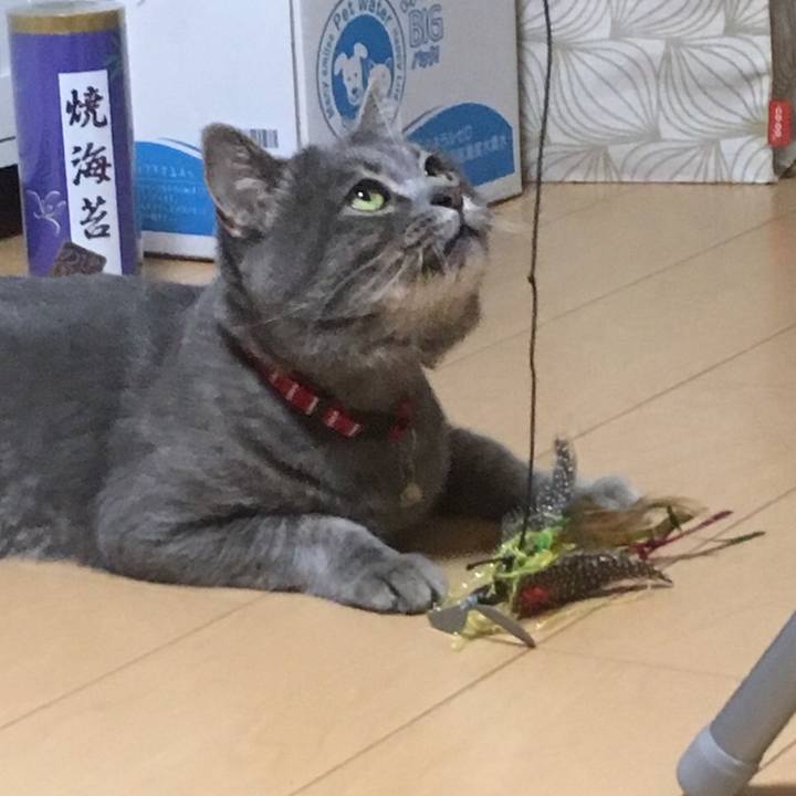 Ca9c8226 679d 4485 9933 f0512b7b727d